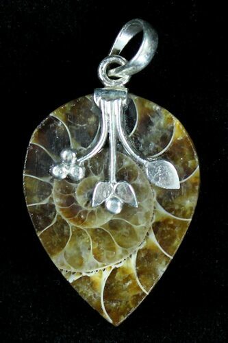 Ammonite Fossil Pendant - Sterling Silver #21049